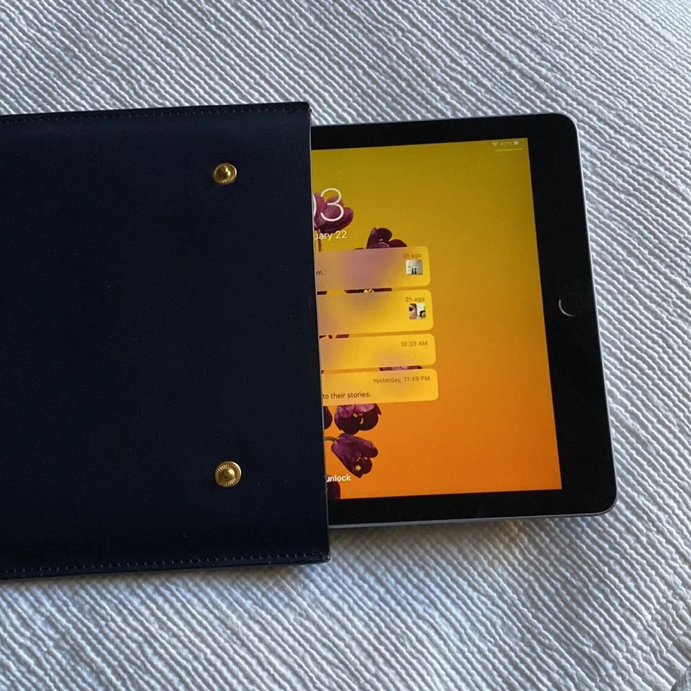 West elm leather I pad envelope